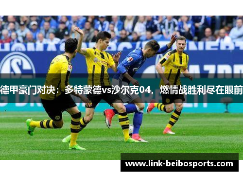 德甲豪门对决：多特蒙德vs沙尔克04，燃情战胜利尽在眼前