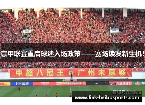 意甲联赛重启球迷入场政策——赛场焕发新生机！