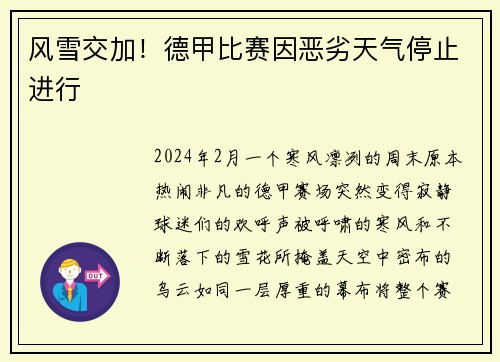 风雪交加！德甲比赛因恶劣天气停止进行