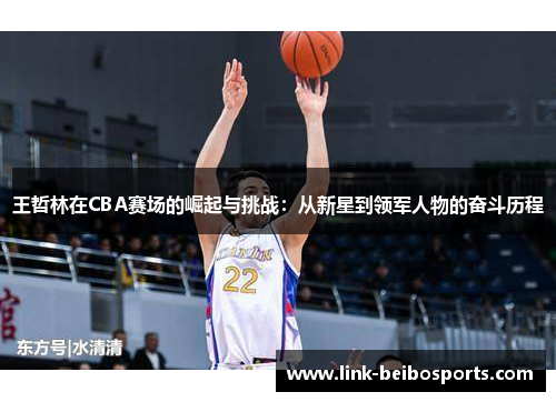 王哲林在CBA赛场的崛起与挑战：从新星到领军人物的奋斗历程