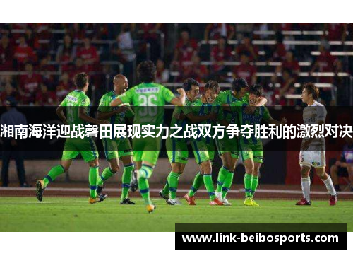 湘南海洋迎战磬田展现实力之战双方争夺胜利的激烈对决